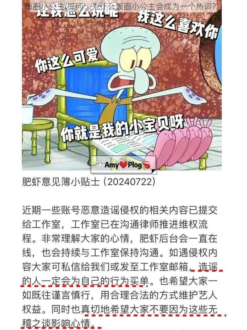 饭圈小公主(提问：为什么饭圈小公主会成为一个热词？)