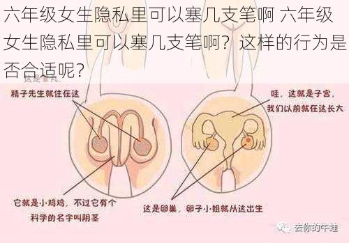 六年级女生隐私里可以塞几支笔啊 六年级女生隐私里可以塞几支笔啊？这样的行为是否合适呢？