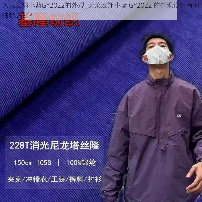 天菜宏翔小蓝GY2022的外观_天菜宏翔小蓝 GY2022 的外观设计有何独特之处？