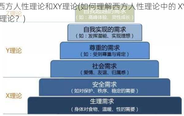 西方人性理论和XY理论(如何理解西方人性理论中的 XY 理论？)