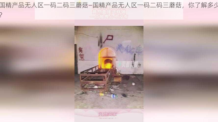 国精产品无人区一码二码三蘑菇—国精产品无人区一码二码三蘑菇，你了解多少？