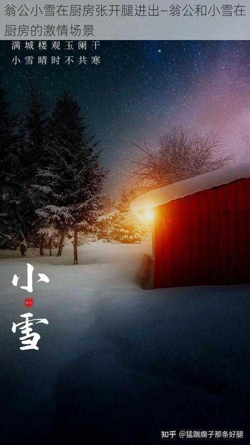 翁公小雪在厨房张开腿进出—翁公和小雪在厨房的激情场景