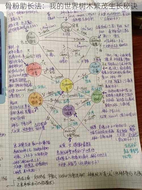 骨粉助长法：我的世界树木繁茂生长秘诀