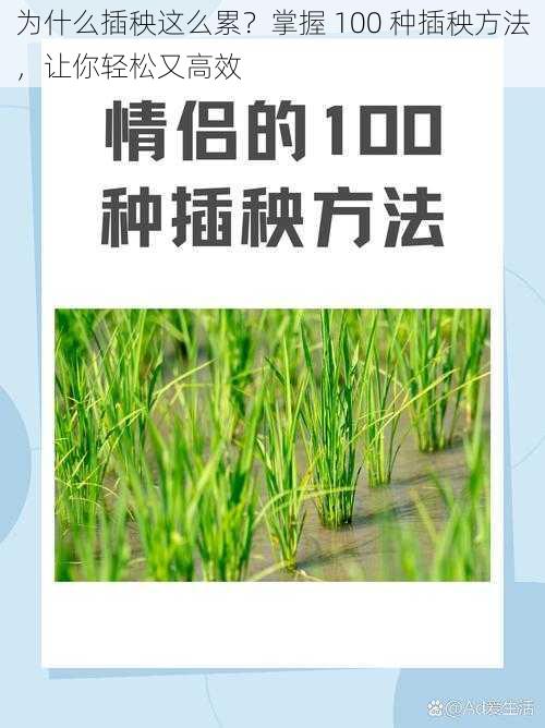 为什么插秧这么累？掌握 100 种插秧方法，让你轻松又高效