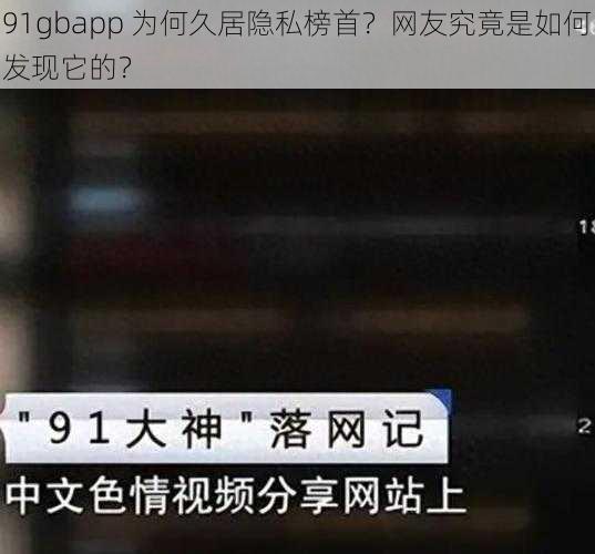 91gbapp 为何久居隐私榜首？网友究竟是如何发现它的？