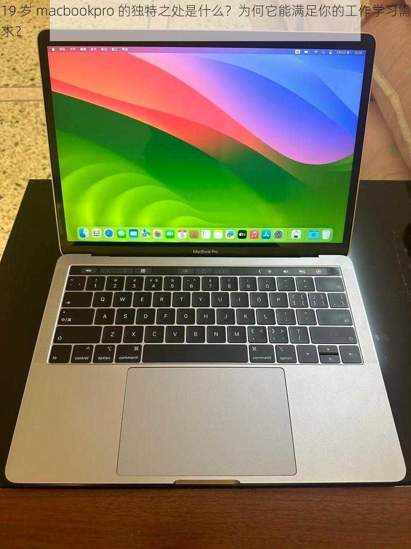 19 岁 macbookpro 的独特之处是什么？为何它能满足你的工作学习需求？