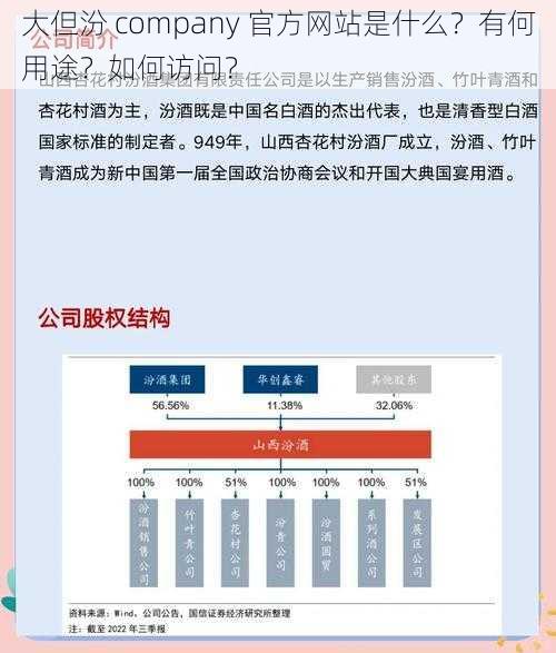 大但汾 company 官方网站是什么？有何用途？如何访问？