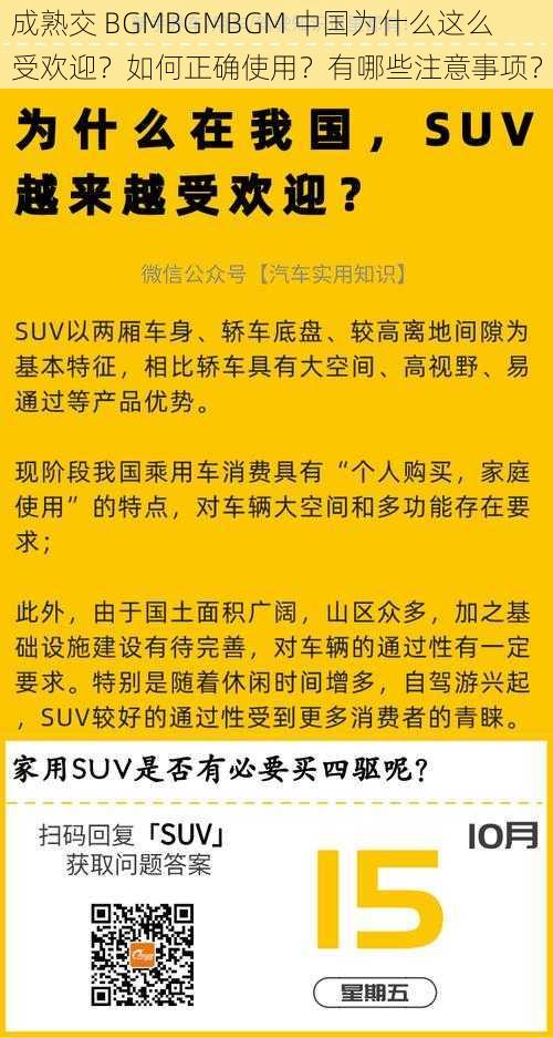 成熟交 BGMBGMBGM 中国为什么这么受欢迎？如何正确使用？有哪些注意事项？