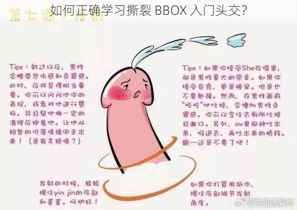 如何正确学习撕裂 BBOX 入门头交？