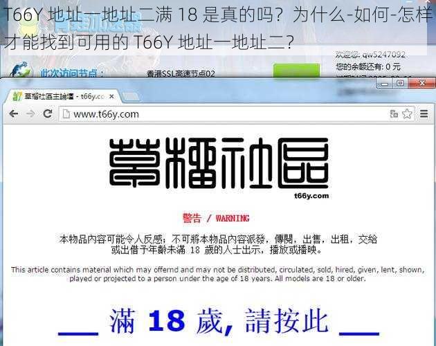 T66Y 地址一地址二满 18 是真的吗？为什么-如何-怎样才能找到可用的 T66Y 地址一地址二？