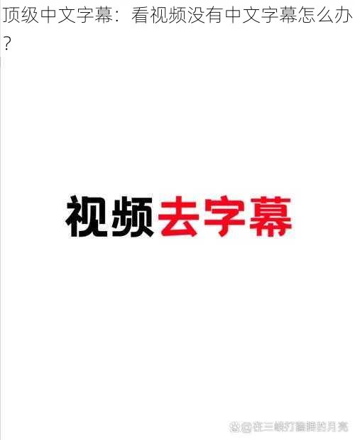 顶级中文字幕：看视频没有中文字幕怎么办？