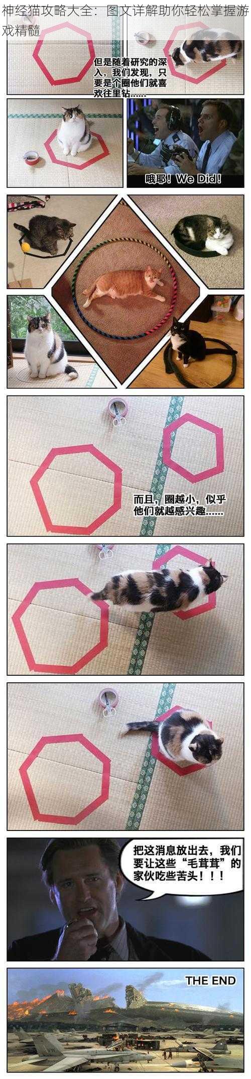 神经猫攻略大全：图文详解助你轻松掌握游戏精髓