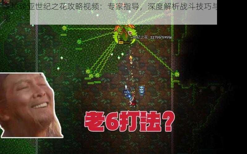 泰拉瑞亚世纪之花攻略视频：专家指导，深度解析战斗技巧与生存策略