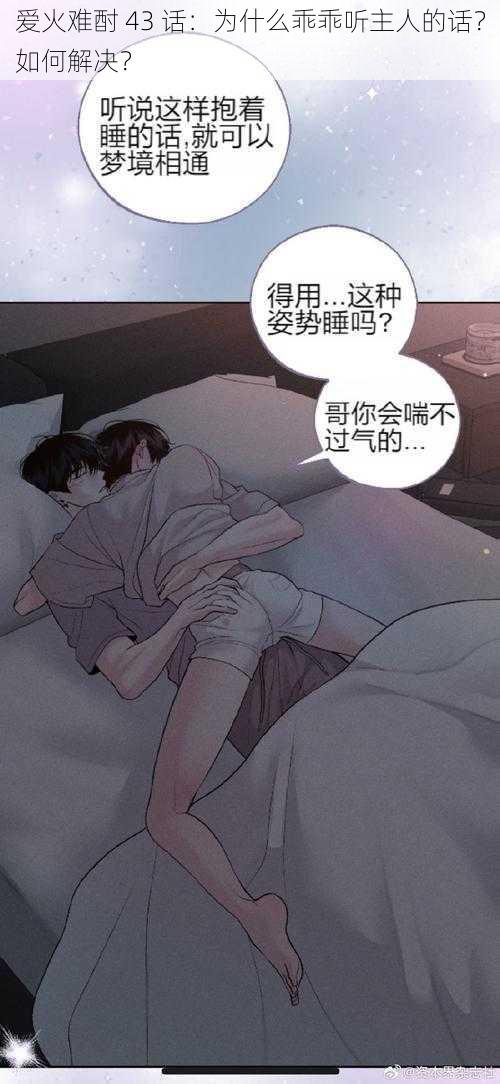 爱火难酎 43 话：为什么乖乖听主人的话？如何解决？