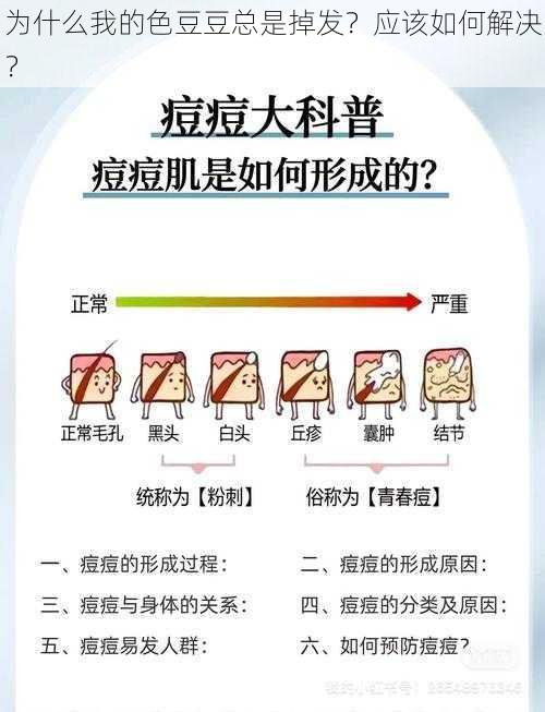 为什么我的色豆豆总是掉发？应该如何解决？