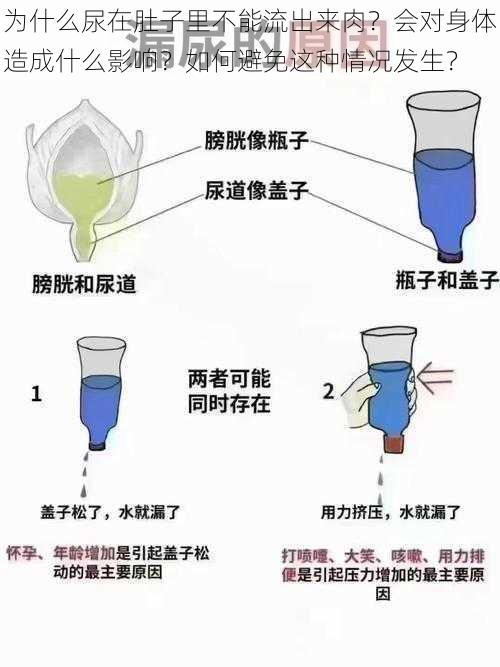 为什么尿在肚子里不能流出来肉？会对身体造成什么影响？如何避免这种情况发生？