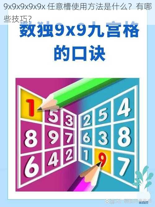 9x9x9x9x9x 任意槽使用方法是什么？有哪些技巧？