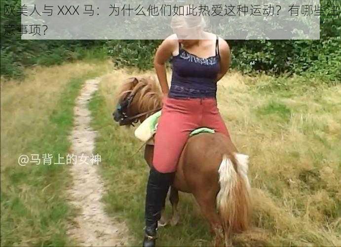 欧美人与 XXX 马：为什么他们如此热爱这种运动？有哪些注意事项？