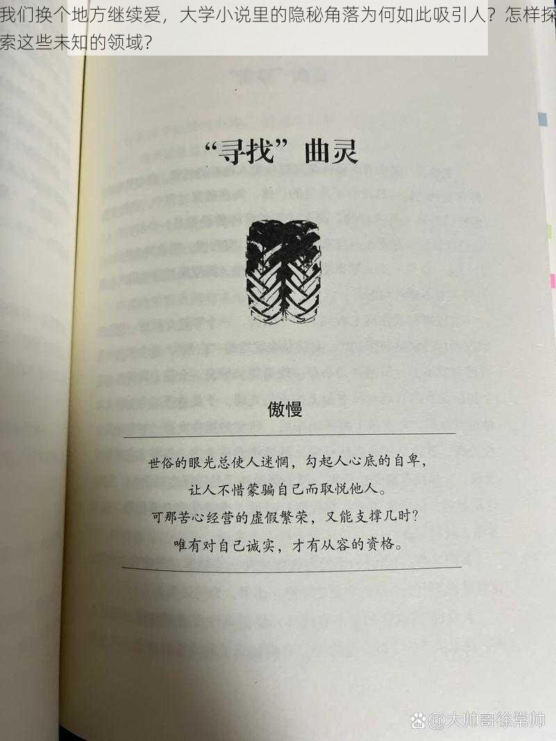 我们换个地方继续爱，大学小说里的隐秘角落为何如此吸引人？怎样探索这些未知的领域？