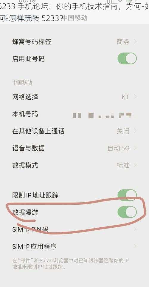 5233 手机论坛：你的手机技术指南，为何-如何-怎样玩转 5233？